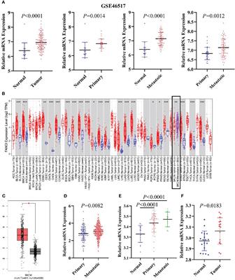 FANCI serve as a prognostic biomarker correlated with immune infiltrates in skin cutaneous melanoma